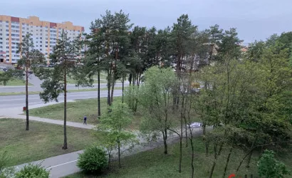  43 м2, Светлогорск(Полесье 23)