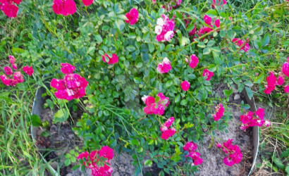 Купить дом, Петришки, 18 соток. Фото 25