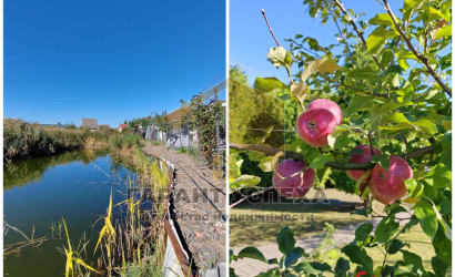 Купить дачу, Малые Косичи, Тельминский с/с, 5.35 соток. Фото 18