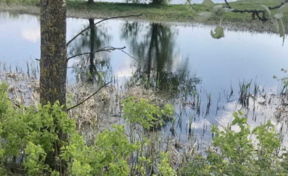 Купить дом, Залужье, Центральная ул., 53, 25 соток. Фото 24