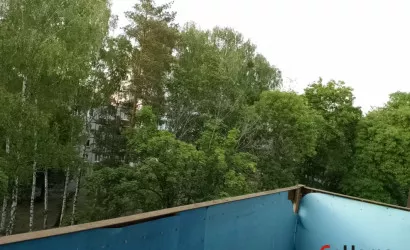  49.9 м2, Светлогорск(Батова 23)