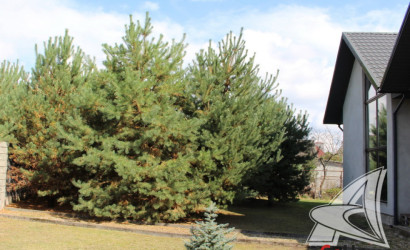 Купить дом, Клейники, Клейниковский с/с, 13.85 соток. Фото 21