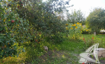 Купить дачу, Брест, Мухавецкий с/с, 5.03 соток. Фото 10