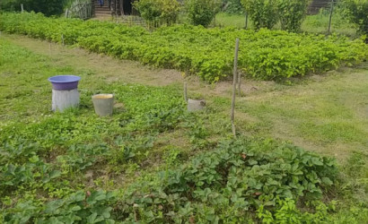 Купить дом в деревне, Залесье, Лесная, 1, 15.75 соток. Фото 6