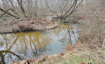 Купить дом в деревне, Редька, Лесная 23, 25 соток. Фото 2