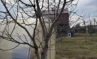  2-этаж.(84 м2), СТ Лазурное