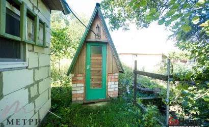  Шипяны(Прекрасная)