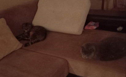 Купить 2-комнатную квартиру, Витебск, Молодёжная. Фото 10