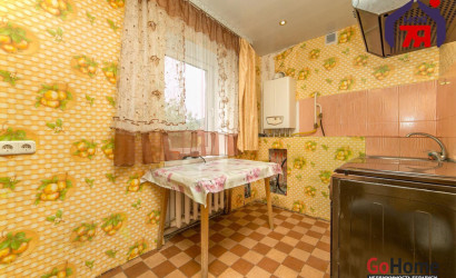  1-этаж.(51 м2), Каштановка