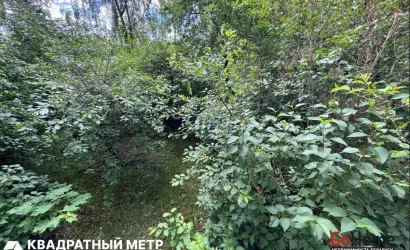  64.3 м2, Минск(Лопатина 17)