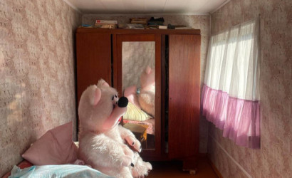 Купить дом, Лида, Белинского, 6.33 соток. Фото 14