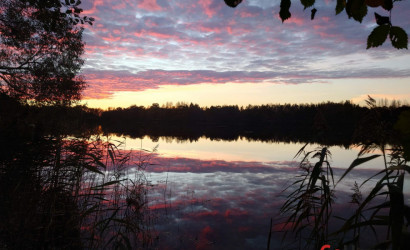 Купить дом, Пушкари, 36.75 соток. Фото 16