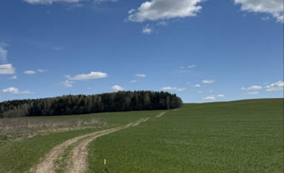 Купить участок, Шпаковщина, Полевая ул., 20, 98 соток. Фото 7