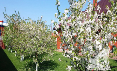 Купить дом, Брест, Южный, 11.19 соток. Фото 16