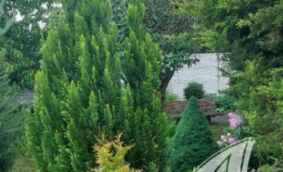 Купить дачу, Брест, Чернинский с/с, 5.08 соток. Фото 18