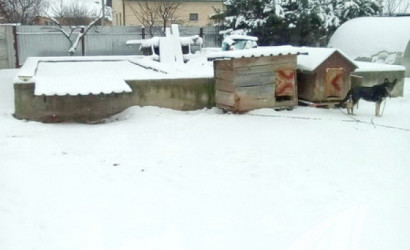 Купить дом, Брест, Аэропорт ст., 2.9 соток. Фото 12