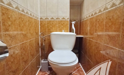  17-этаж.(53.2 м2), Брест(Восток, ул. Орловская)
