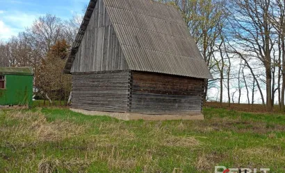  Забичаны
