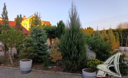 Купить дом, Брест, Гершоны, 10.99 соток. Фото 35