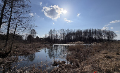 Купить участок, СТ Демидково, 8.51 соток. Фото 3