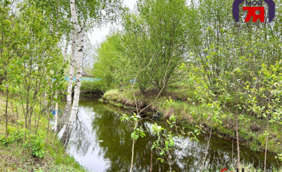 Купить дом в деревне, Пчела, 6.04 соток. Фото 22