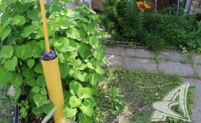 Купить дачу, Брест, Мухавецкий с/с, 5 соток. Фото 28