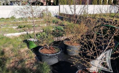 Купить участок, Брест, Тельминский с/с, 4.98 соток. Фото 9