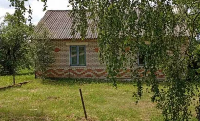  55 м2, Озерница
