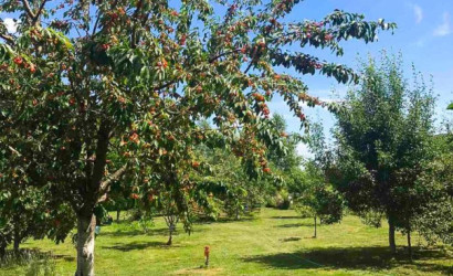 Купить дом, Подъельники, Центральная ул., 22.65 соток. Фото 4