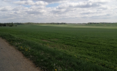 Купить дом, Боровляны, Лесная , 25 соток. Фото 3