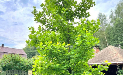 Купить дом в деревне, Чистая Криница, 8.92 соток. Фото 44