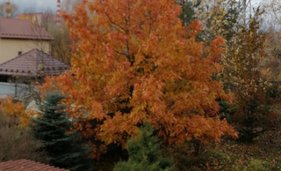 Купить дом, Витебск, Набережная, 15 соток. Фото 19