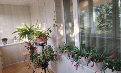 Купить коттедж, Ольгово, Садовая, 43, 24.6 соток. Фото 25