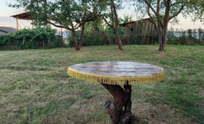 Снять на сутки агроусадьбу, Браслав, Пушкина 5. Фото 1