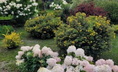 Купить дом, Быхов, ул Куйбышева дом 45, 8 соток. Фото 19