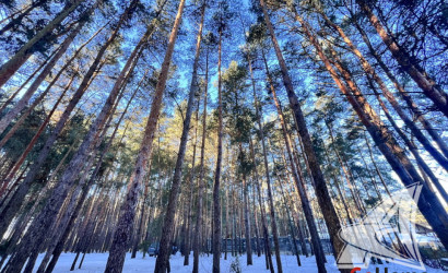 Купить участок, Гули, Мухавецкий с/с, 24.29 соток. Фото 22