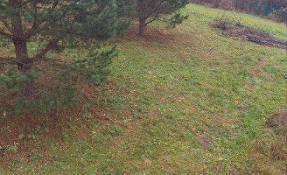 Купить дачу, Дейки, 9.62 соток. Фото 7