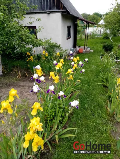  1-этаж.(19.3 м2), Гродно(Новики 2/32)