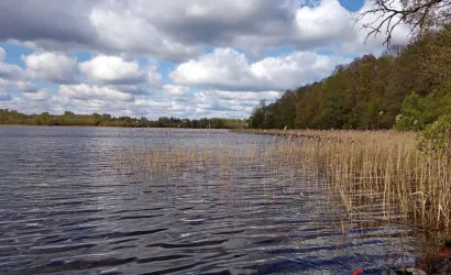  2-этаж.(56.8 м2), Раково