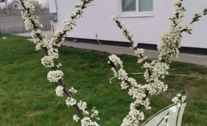 Купить дом, Прилуки, Знаменский с/с, 14.23 соток. Фото 35