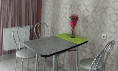 Снять 1-комнатную квартиру на сутки, Барановичи, Карбышева 6. Фото 11