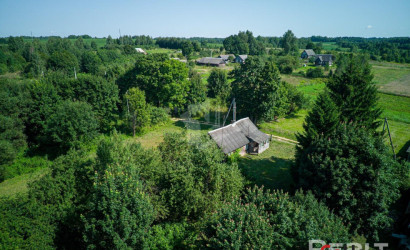  Крапивники