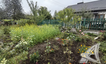 Купить дачу, Брест, Мухавецкий с/с, 4.15 соток. Фото 11