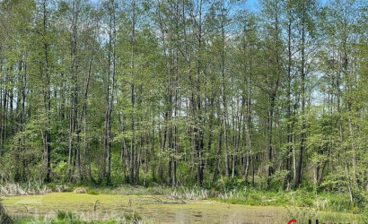 Купить дом, Нарейки, Центральная ул., 25 соток. Фото 6