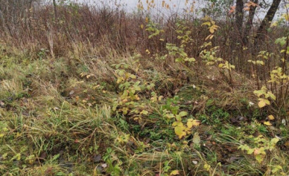 Купить дом, Чечели, Озерная ул., 11 соток. Фото 6