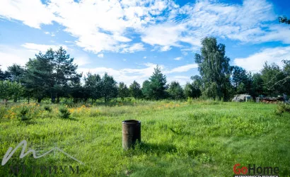  Шипяны(Прекрасная)