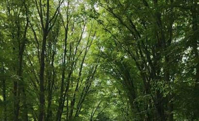 Купить дом, Сухая Долина, Сухая долина, 15 соток. Фото 7