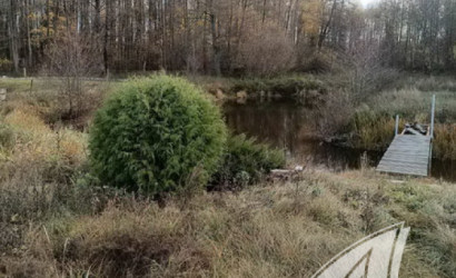 Купить дом в деревне, Горошковка 1, Каменюкский с/с, 25 соток. Фото 40