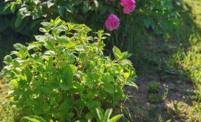 Купить дом в деревне, ЛЕСНОЕ-90, Сиреневая, 160, 8.92 соток. Фото 32