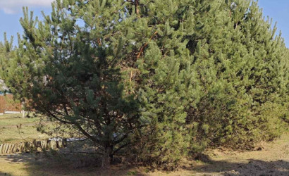 Купить участок, Мочаны, Заречная, 33Б, 11.94 соток. Фото 4